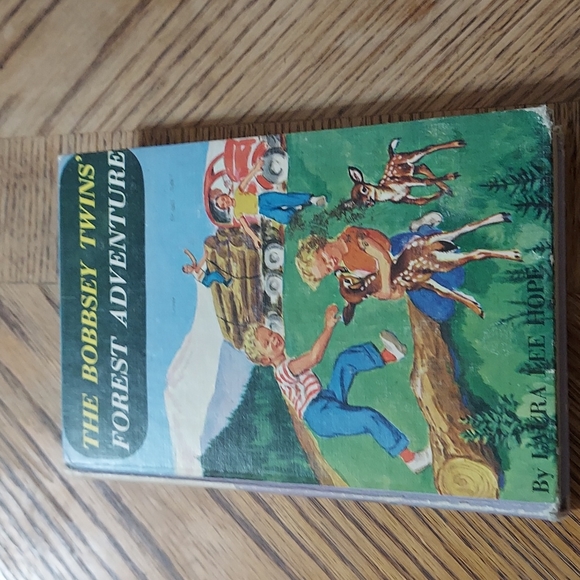 The Bobbsey Twins' Forest Adventure - Picture 12 of 12